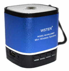 Wster WS-236