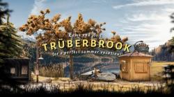 Headup Games Trüberbrook (PC) Jocuri PC