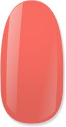 NiiZA Gel Polish 4ml - 119