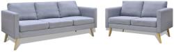 vidaXL Set canapele cu 2 locuri și 3 locuri, textil, gri deschis (272193) Canapea