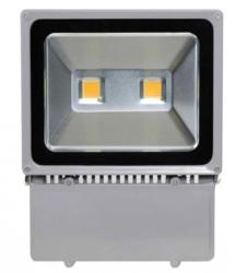 Item Product Proiector cu LED 100W, ECO LED, carcasa metalica, gri