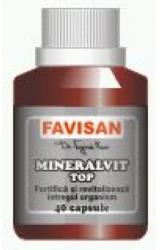 FAVISAN Mineralvit Top 40 comprimate