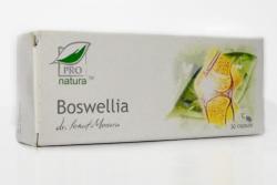 ProNatura Boswellia 30 comprimate