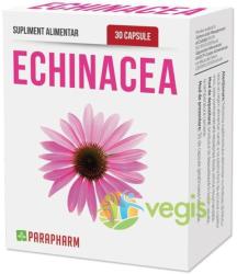 Parapharm Echinacea 30 comprimate