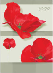 Realsystem 2-Day határidőnapló B6