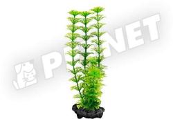 Tetra DecoArt Ambulia Small 15 cm