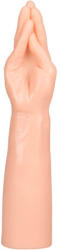 Giant Family Horny Hand Palm