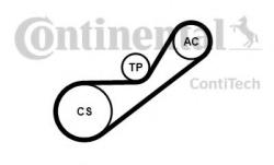 CONTITECH Set curea transmisie cu caneluri RENAULT SYMBOL II (LU1/2) (2008 - 2013) CONTITECH 4PK925K1