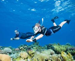 SSI Sznorkel tanfolyam | Snorkel Diver