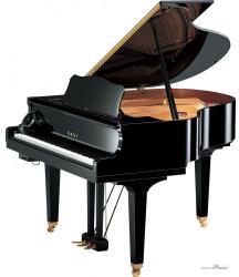 Yamaha GB1 SC2