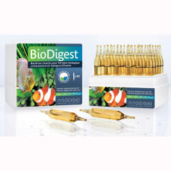 Prodibio Bio Digest /1 ampulla/ baktériumkultúra elősegítő 1 ml (999051)