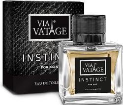VIA VATAGE Instinct EDT 100 ml