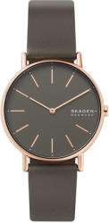 Skagen SKW2794