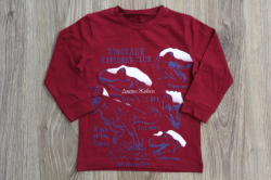 Rudi fashion Блуза с дълъг ръкав Dinosaur, 98, 104, 110, 116 /бордо/