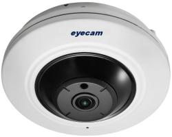 eyecam EC-1405