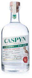 Pocketful of Stones Caspyn Midsummer Dry Gin 40% 0,7 l