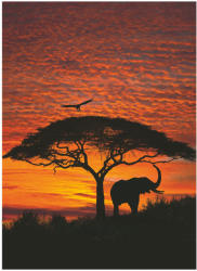 Ideal Lux Fototapet natura - Apus in Africa (4-501)