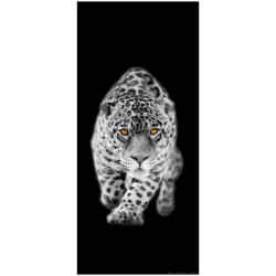 AA Design Fototapet leopard alb negru (FTV-1511)