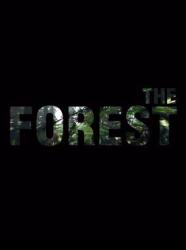 Endnight Studios The Forest (PC)