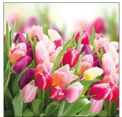 Ambiente Glorious Tulips papírszalvéta 25x25cm, 20db-os - szep-otthon