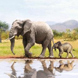 Ambiente Elephant papírszalvéta 33x33cm, 20db-os - szep-otthon