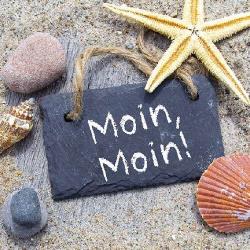 Ambiente Moin Moin papírszalvéta 33x33cm, 20db-os