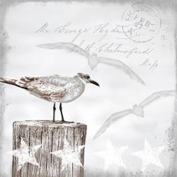 Ambiente Seagulls papírszalvéta 33x33cm, 20db-os