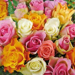 Ambiente Colourful Roses papírszalvéta 33x33cm, 20db-os - szep-otthon