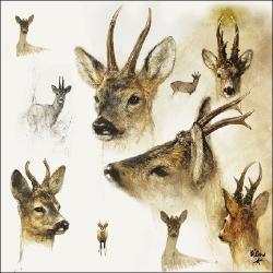Ambiente Portraits of Deer papírszalvéta 33x33cm, 20db-os