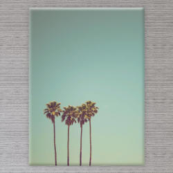  Vászonkép Magas Fák - 50x40 cm