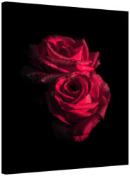 AA Design Tablou trandafiri rosii Nostalgie (RSE342)
