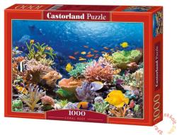 Castorland Korall zátony 1000 db-os (C-101511)