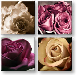 Rózsák királysága 4 részes falikép XOBKOL30E42