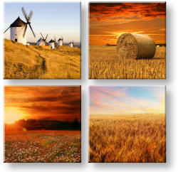 Egyszerű élet 4 részes falikép XOBKOL28E42