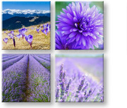 Falfestmény Csodálatos látvány 4 rész XOBKOL25E42