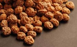 Carphunter Spanyol Standard Tigernuts tigrismogyoró 5 kg (5828-8117)