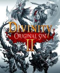 Larian Studios Divinity Original Sin II (PC) Jocuri PC
