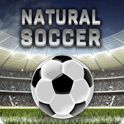 Thorsten Schleinzer Natural Soccer (PC)