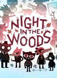 Finji Night in the Woods (PC)