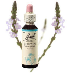 VERVAIN - VASFŰ 20ml