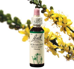 AGRIMONY - APRÓBOJTORJÁN 20ml