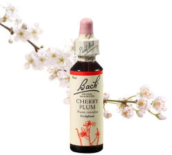  CHERRY PLUM - CSERESZNYESZILVA 20ml