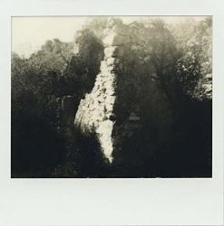 MONNIK Bedevaart -download-