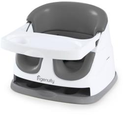 Ingenuity Slate 2in1 (11576)