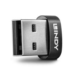 Lindy Adaptor USB 2.0-A la tip C T-M, Lindy L41884 (L41884)