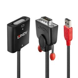 Lindy Convertor VGA la DVI-D Dual Link T-M alimentare USB, Lindy L38184 (L38184)
