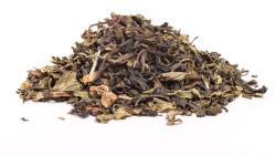Manu tea TUAREG PREMIUM - zöld tea, 250g