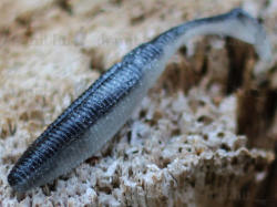 Rapture Power Shad Dual 5 cm Black Silver 20 db, plasztik csali (188-00-906) - damil
