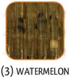 Rapture Evoke Worm 10cm watermelon 8db plasztik csali (188-02-423)