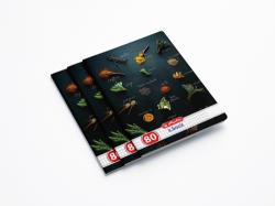 Herlitz Caiet A5, 80 file, patratele, Spices, 5 buc/set Herlitz PCKHZ9480820 (PCKHZ9480820)